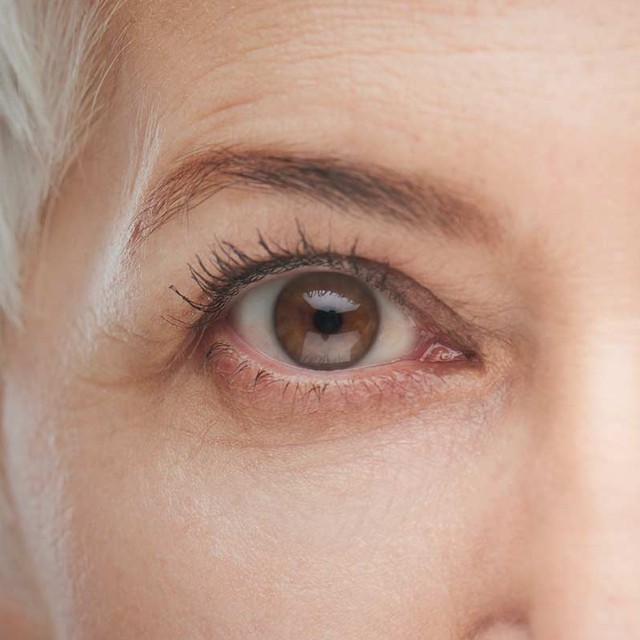 Close-up of a woman's eye, a photo from the Shane Retina website